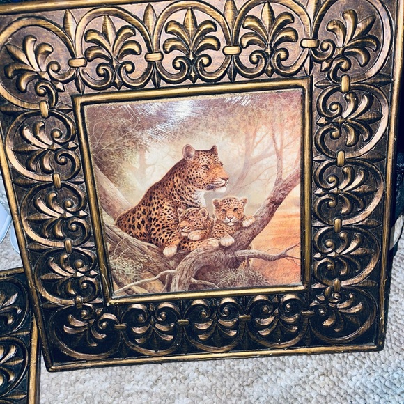 Pier One imports African animal wall art with bronzed finish framing - Picture 2 of 5